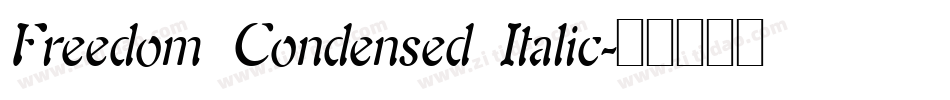Freedom Condensed Italic字体转换